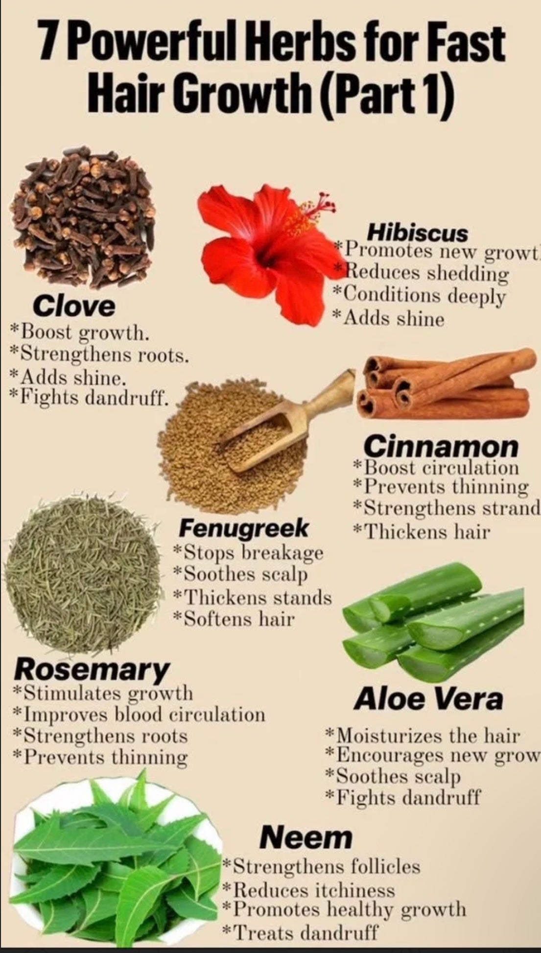 The Rapunzel Potion Hair Growth Oil